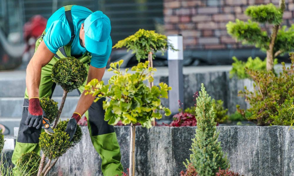 garden-maintenance-by-professional-gardener